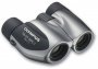 BN_LB_SP_10-x-21-DPC-I-silver_l_rdax_225x158
